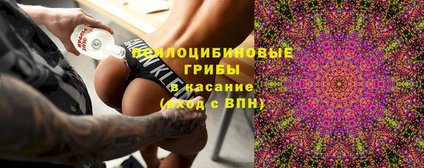 хмурый Дмитриев