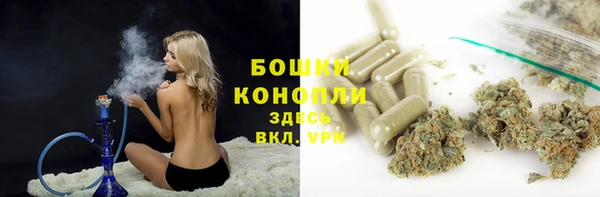 ПСИЛОЦИБИНОВЫЕ ГРИБЫ Дмитровск